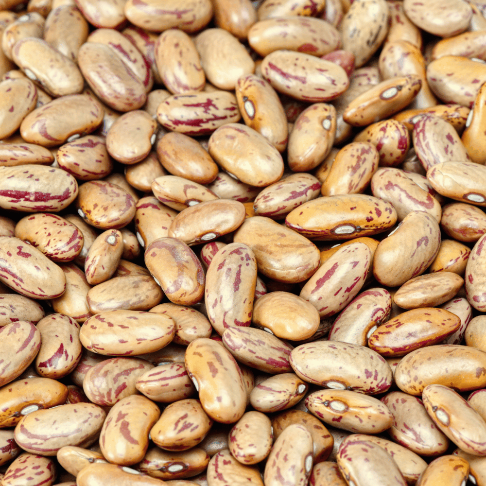 Munsyari Rajma (Kidney Beans)