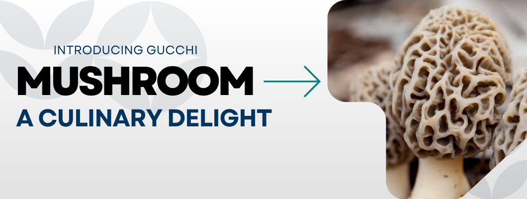 Introducing Gucchi Mushroom: A Culinary Delight with Nutritional Riches