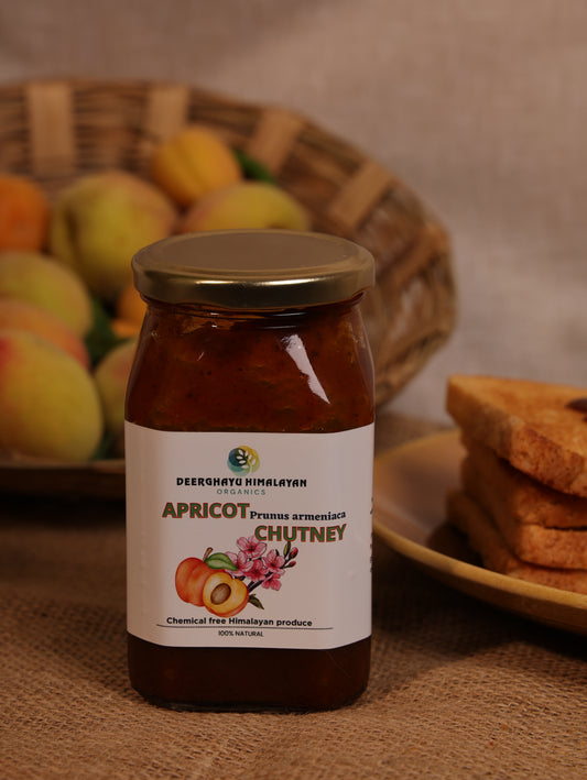 Himalayan Apricot Chutney