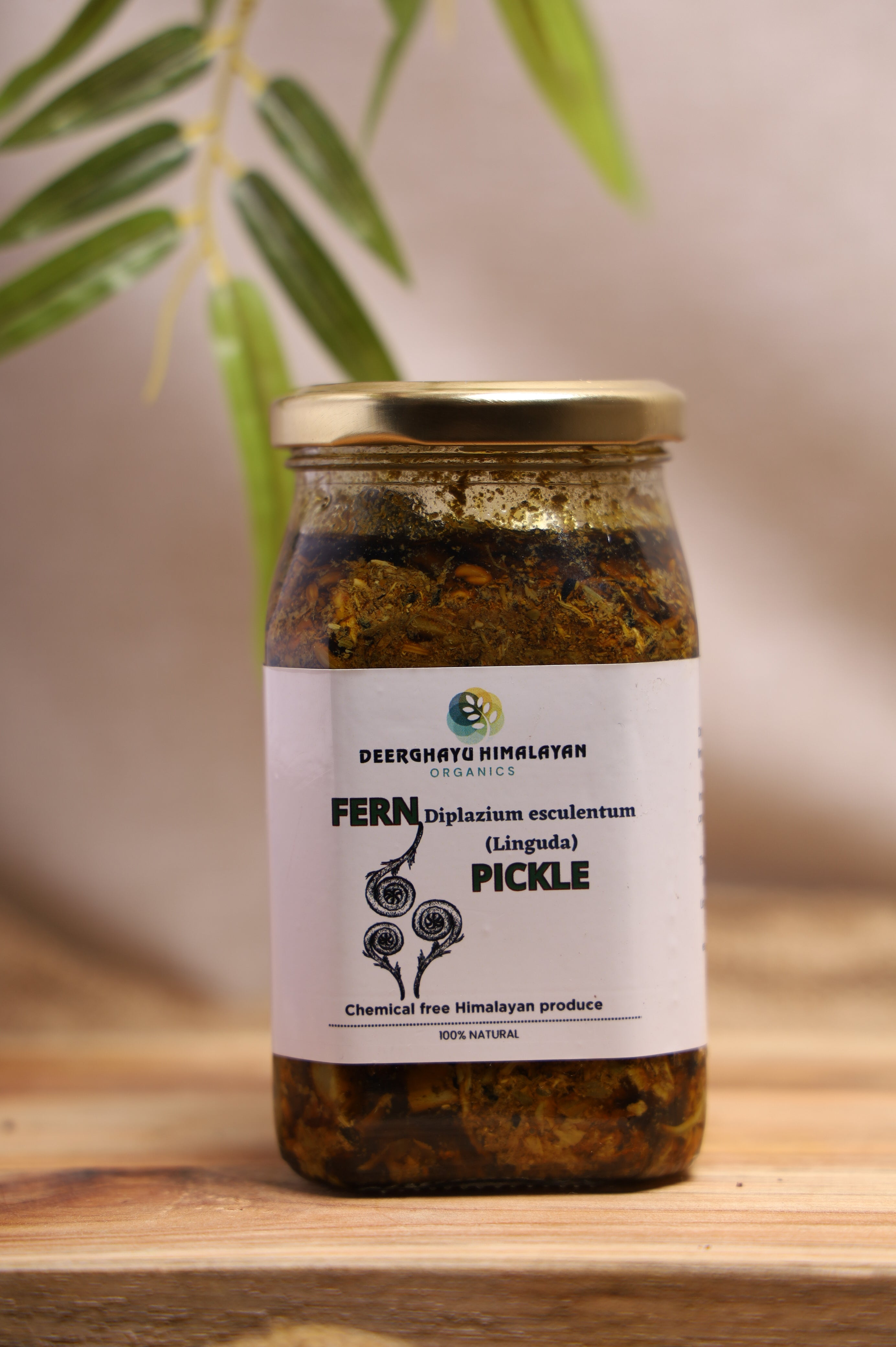 Himalayan Timla (Fig) Pickle